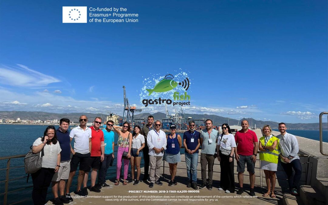 GASTROFISH – The Training Activities of the project in Castellon, Spain