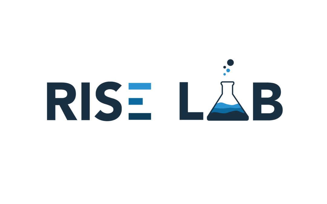 RISE – LAB Network for Inclusion, Development and Empowerment 