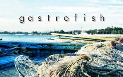 WELCOME TO “GASTROFISH” A BRAND NEW KA2 PROJECT TO PROMOTE FISHERY AND GASTRO-KITCHEN SECTOR BY DIGITAL LEARNING ACTIVITIES