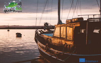 We are happy to collect your opinions, habits, culinary and gastronomic preferences of the fishing industry